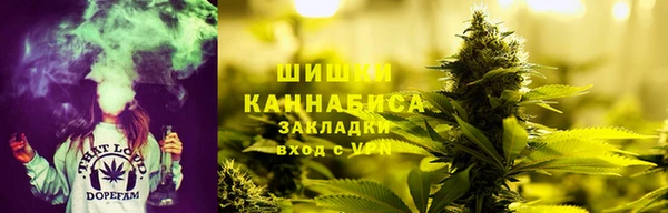 МДМА Новозыбков