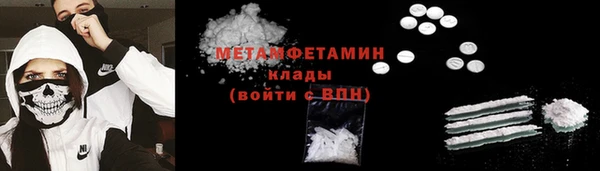 шишки Бикин