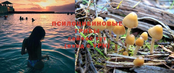 МДМА Новозыбков