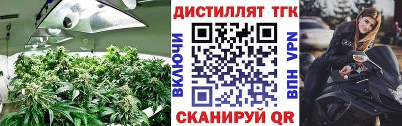 Дистиллят ТГК Wax  цены   Североуральск 
