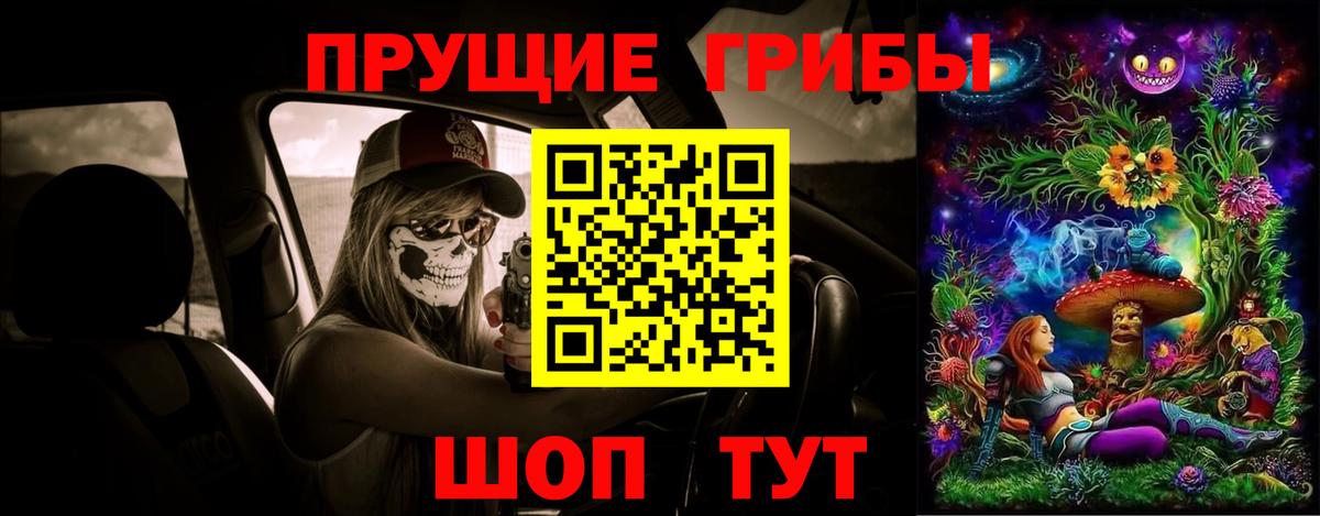 Галлюциногенные грибы Psilocybe Североуральск