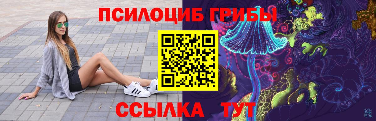 Псилоцибиновые грибы Psilocybine cubensis  Псилоцибиновые грибы мухоморы  Североуральск 