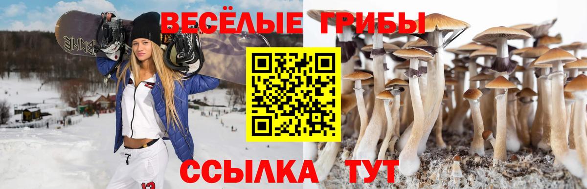 Североуральск  Псилоцибиновые грибы мухоморы  Вход с VPN 